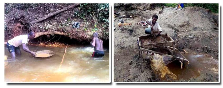 幾內(nèi)亞等落后國家對砂金礦的重選依然采用原始的人工選別